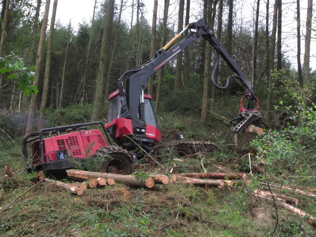 Mechanical tree felling machinery working on a clearance site